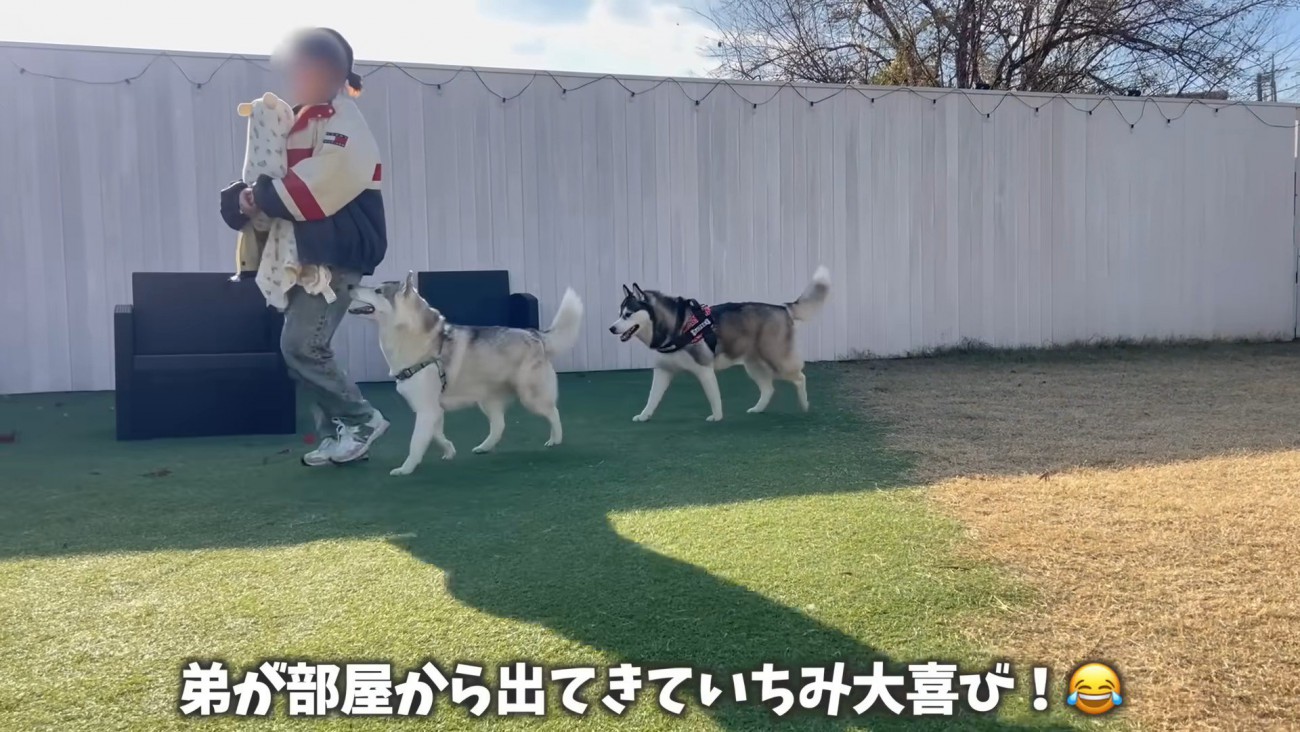 赤ちゃんを抱っこして歩くと…