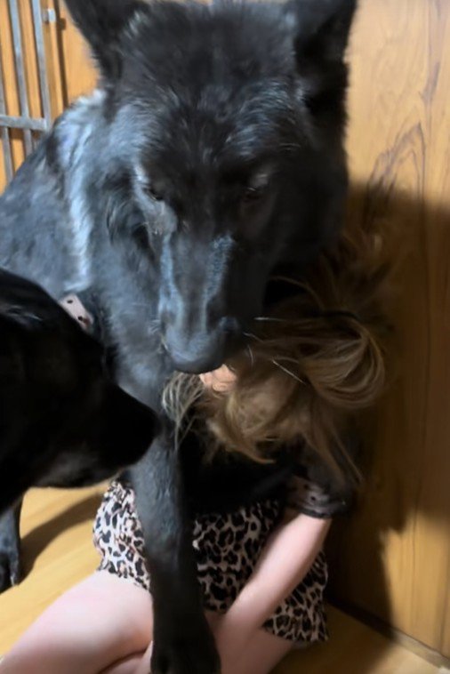 子犬とは思えぬ大きさです！