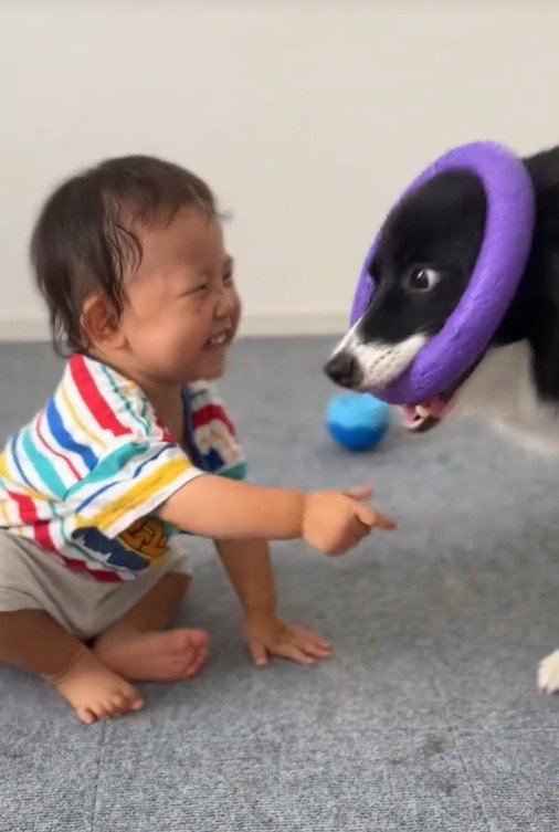 一緒に遊ぶヒマちゃんと赤ちゃん2