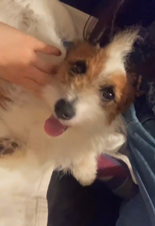 とっても幸せそう♡