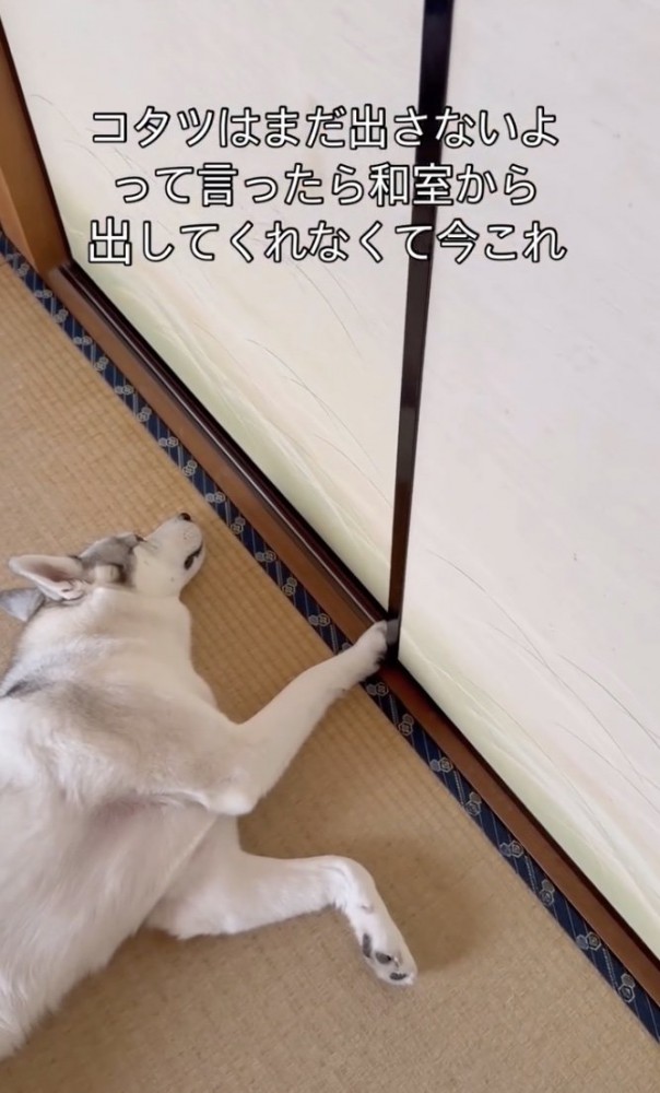 特大のかなしみ…