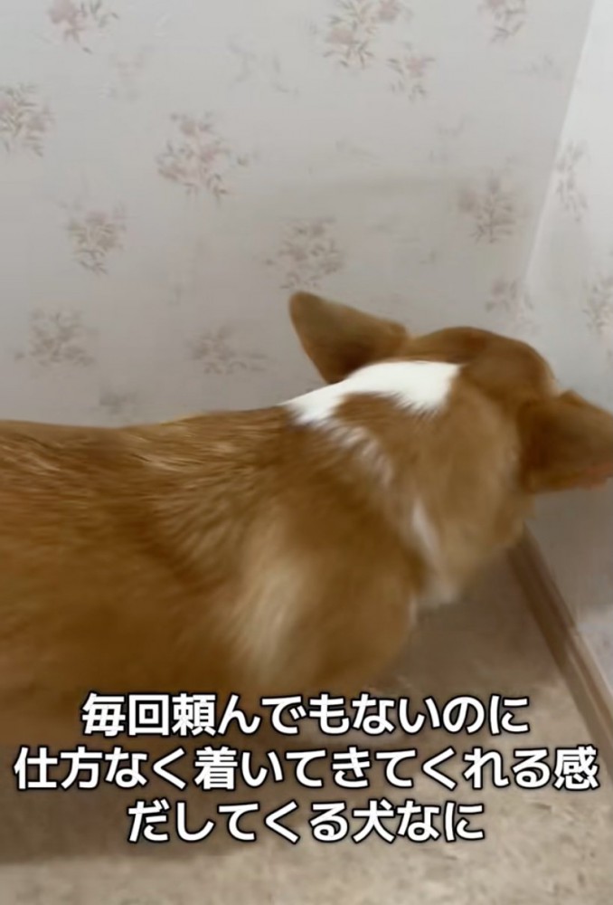 背中から漂う仕方ない感