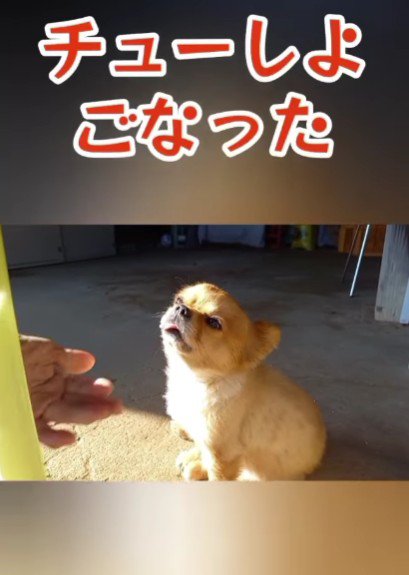 「チューしようかと思った」