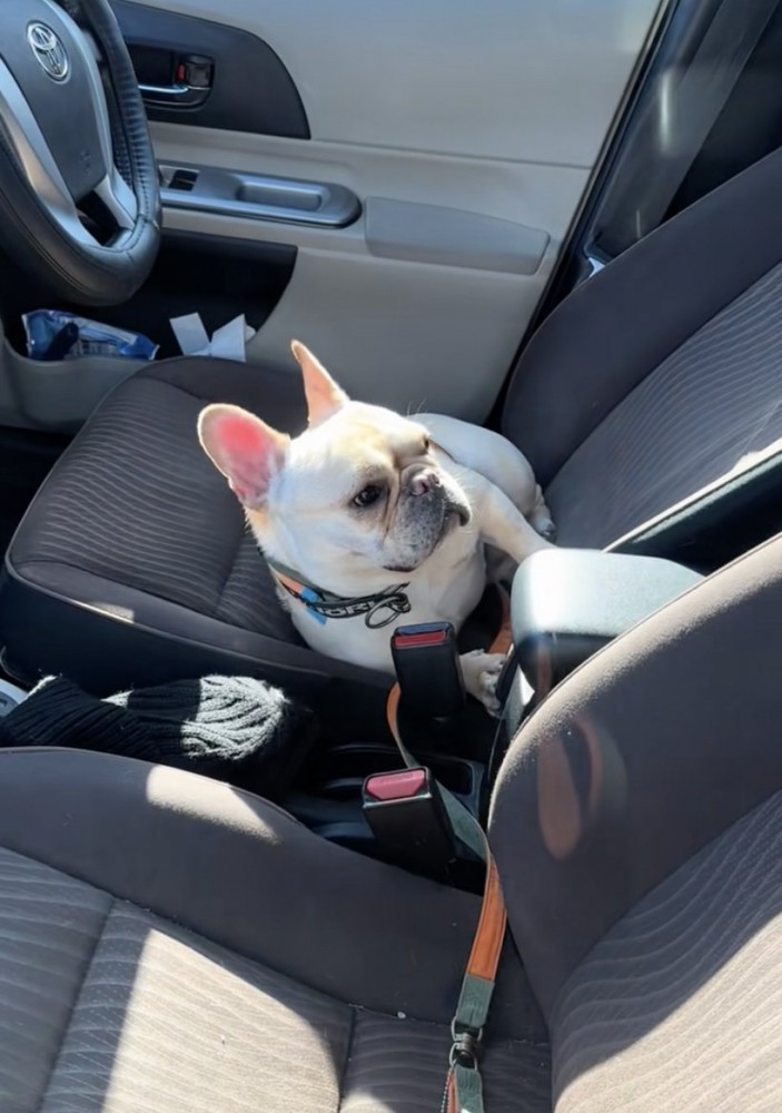 人間味あふれる