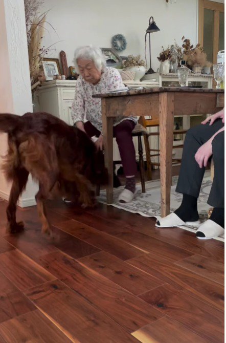 大型犬のトワくんが…