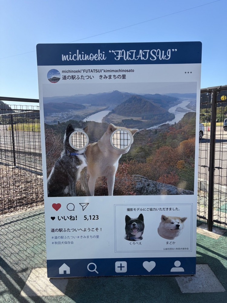 顔ハメパネル