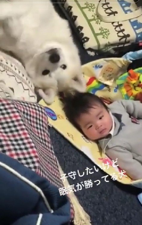 そばで見守ってくれる