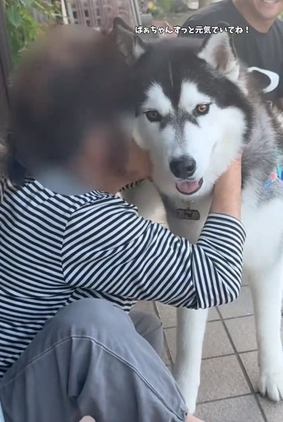 笑顔のおこめくん