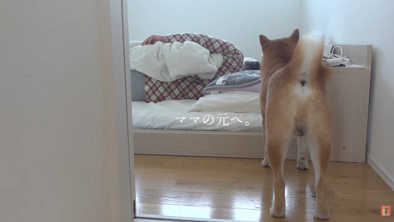 ふたたびママの元へ行くはちくん