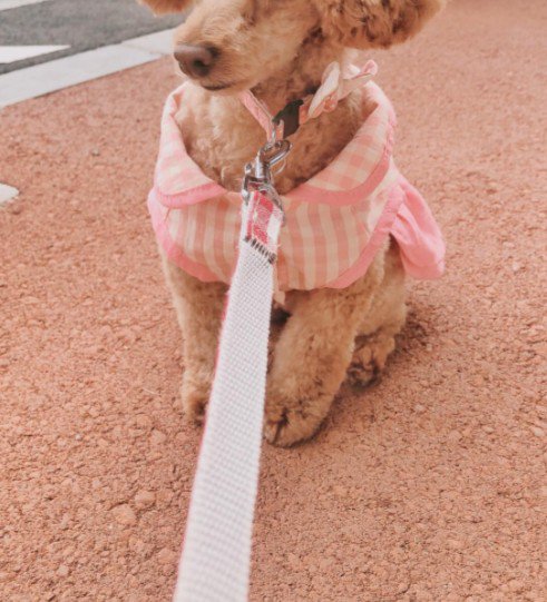 衝撃の姿に…！！