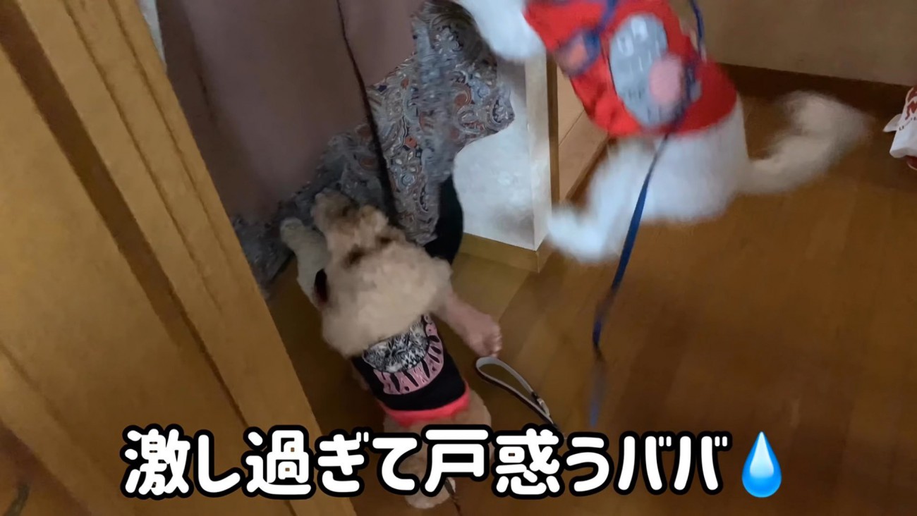 愛情表現が激しすぎる！
