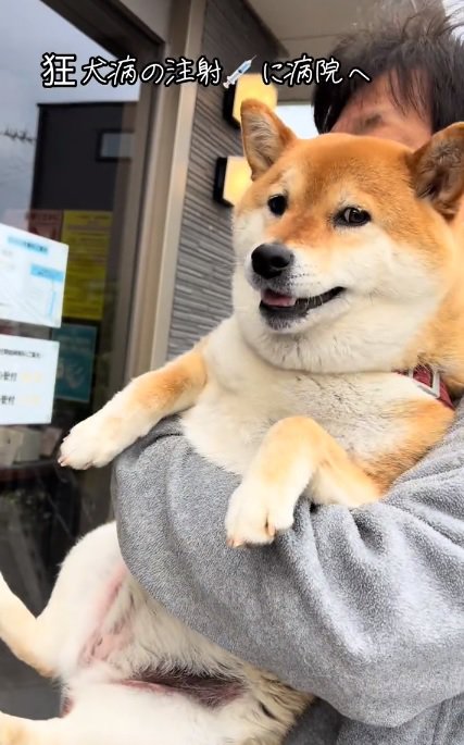 病院に到着したあーちゃん