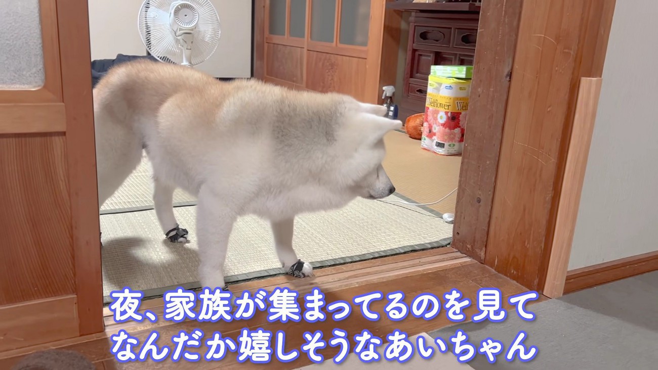 家族団らんが大好き