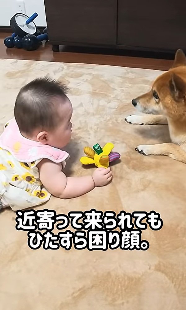 戸惑うロック君