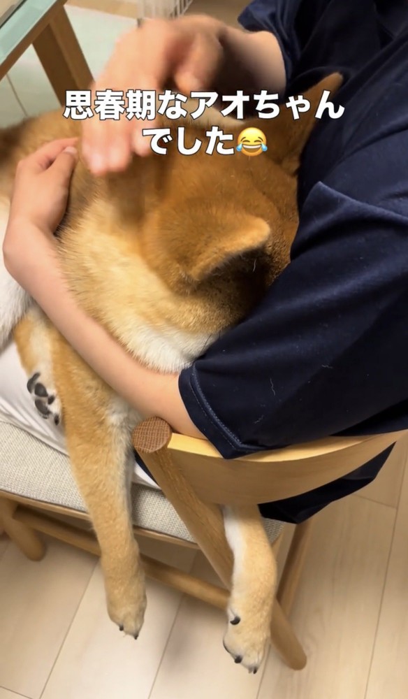 顔を隠したまま撫でられる犬