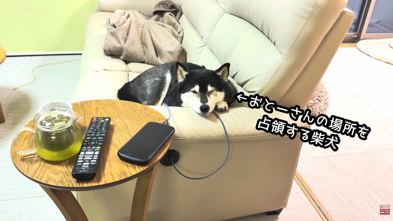 大河くんがお父さんの席を占領