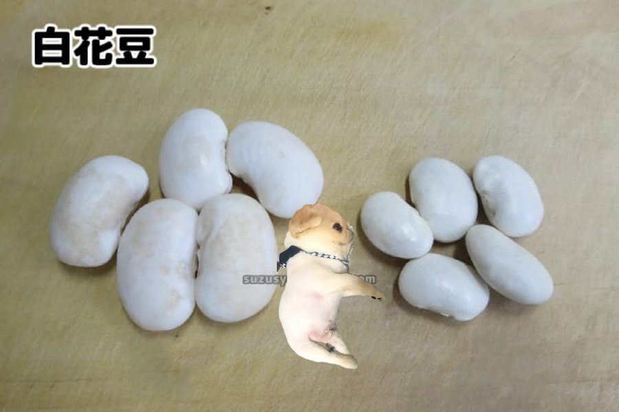 豆