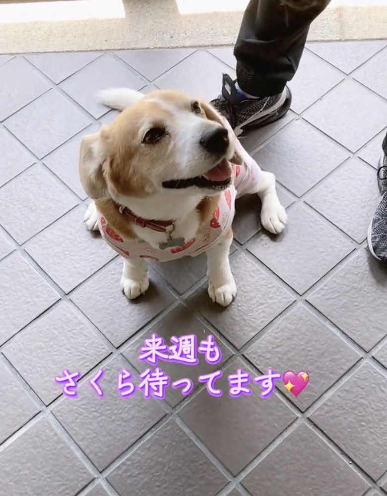 「絶対きてよねっ」