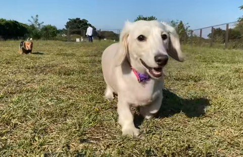 2階に隔離されていたそう