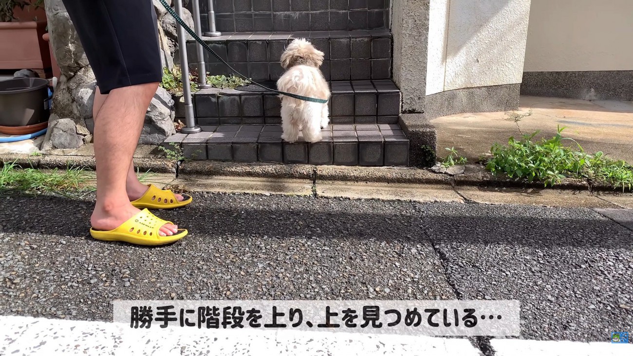 お友達を待ち伏せ中