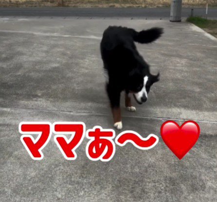「ママ〜！」