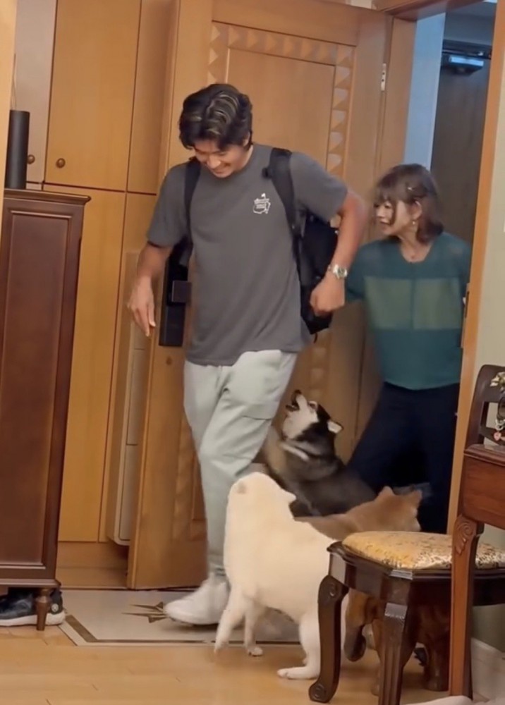 帰宅した家族に駆け寄る犬たち