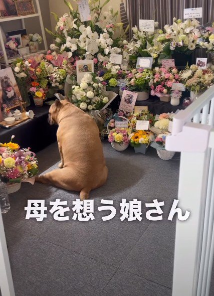 思い出に浸る一幕も