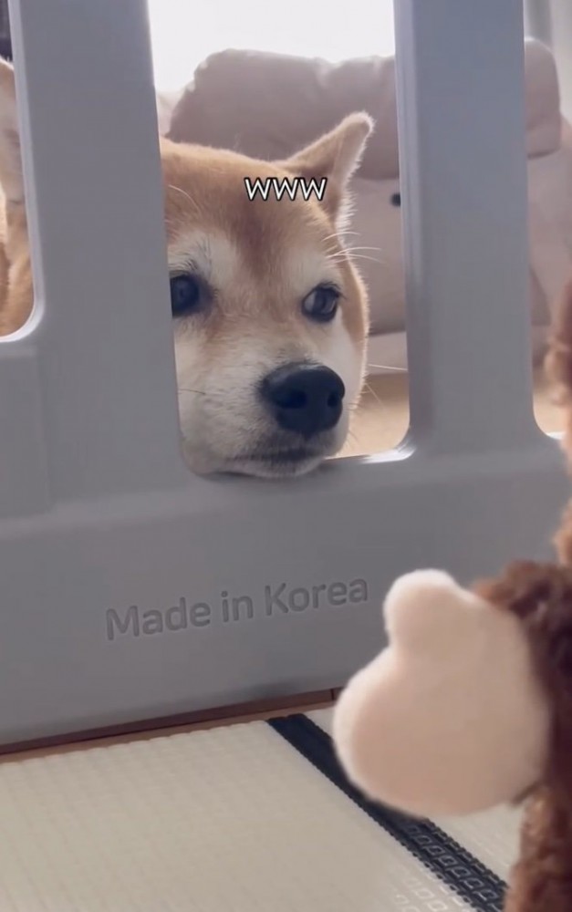 微動だにせず。