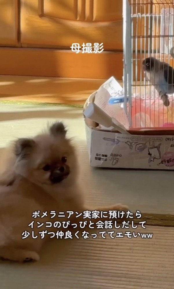 ほのぼの空間…