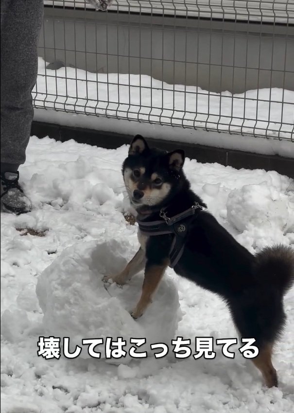 またカメラ目線の千幸ちゃん