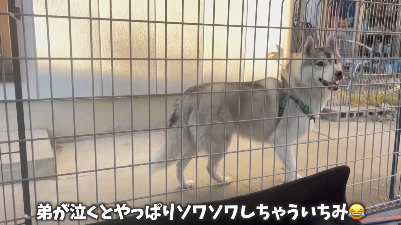 赤ちゃんが泣くとソワソワ…
