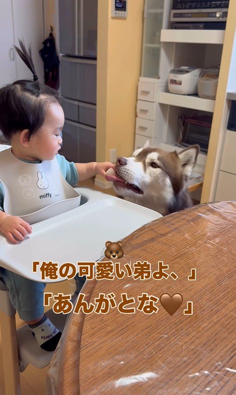 梨を食べるZIGGYくんと男の子⑩