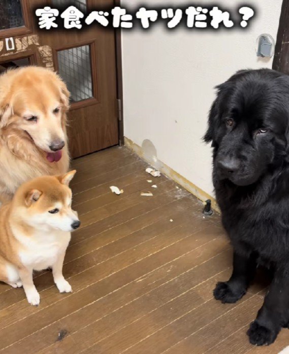 壁を破壊したのは誰？