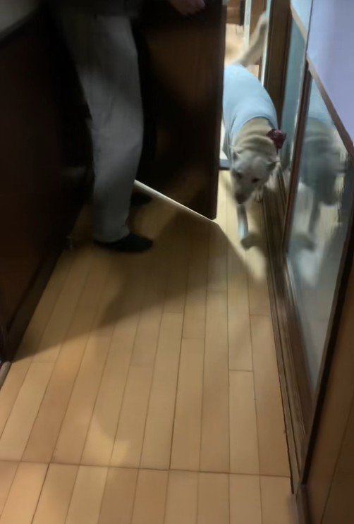 歓喜の声を上げながら登場！
