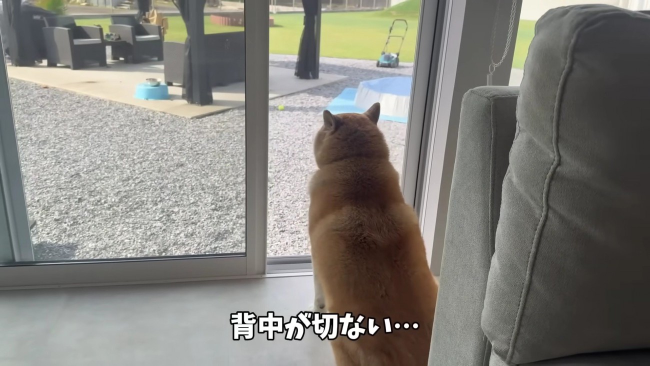 じっと待つ姿にキュン♡