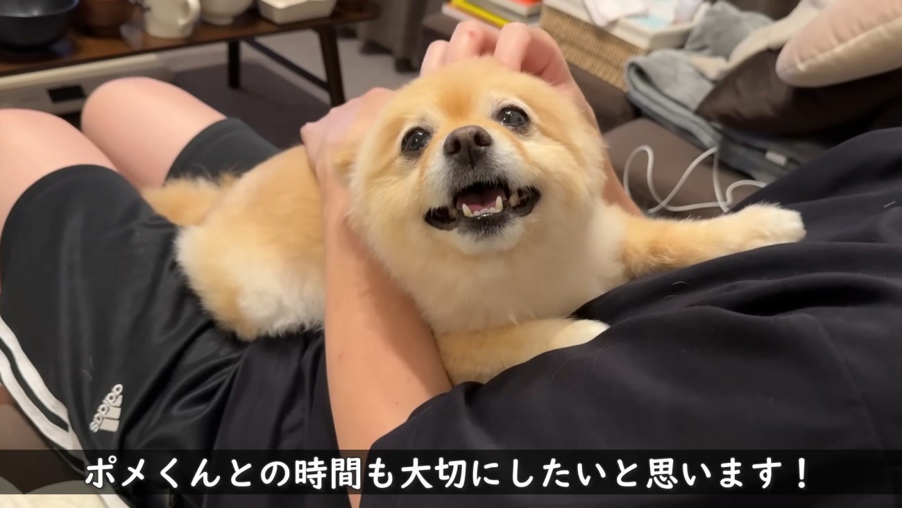可愛い姿にキュン♡