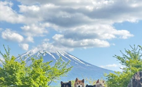 富士山