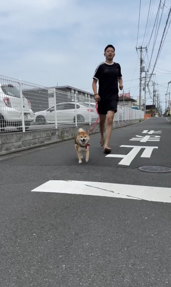 ママに向かって一直線