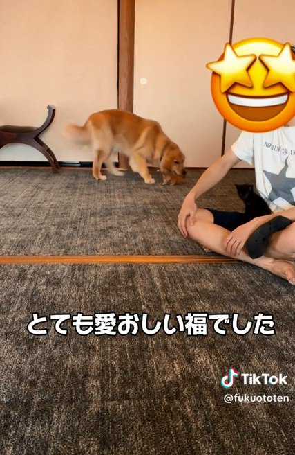 歩くよう促す福ちゃん