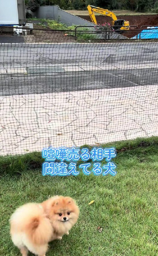 なぜか誇らしげ！！