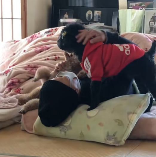 黒い犬を撫でる女性の手