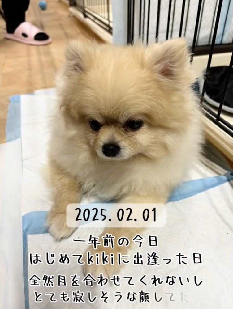 悲しげな表情…