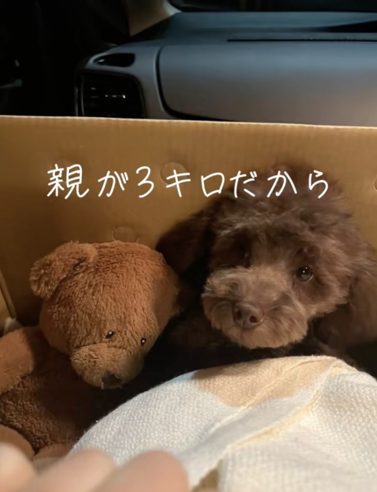 まだまだあどけないお顔