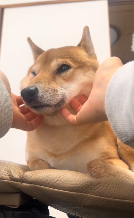 ふれあい中の福ちゃん