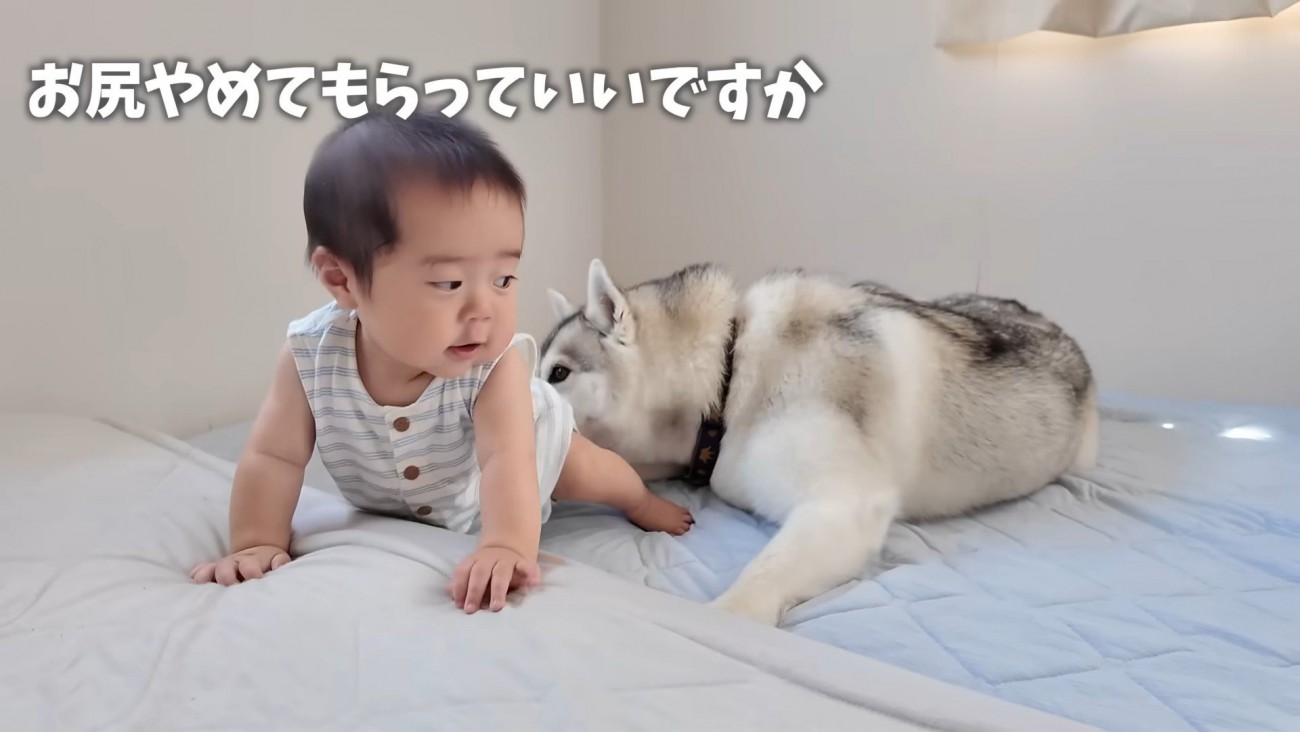 ハイハイの練習中も匂いをクンクン…
