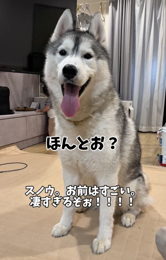 笑顔を見せる犬