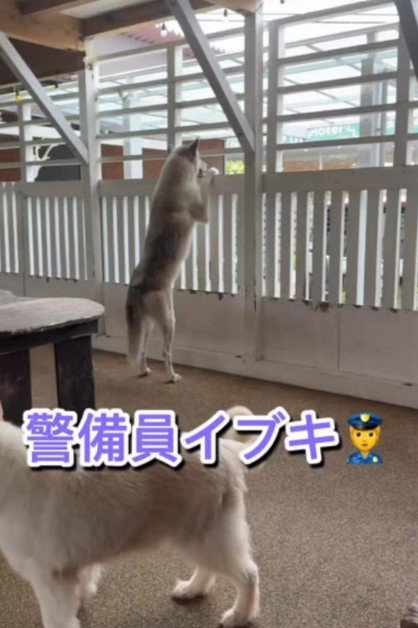 自宅警備が日課です♪