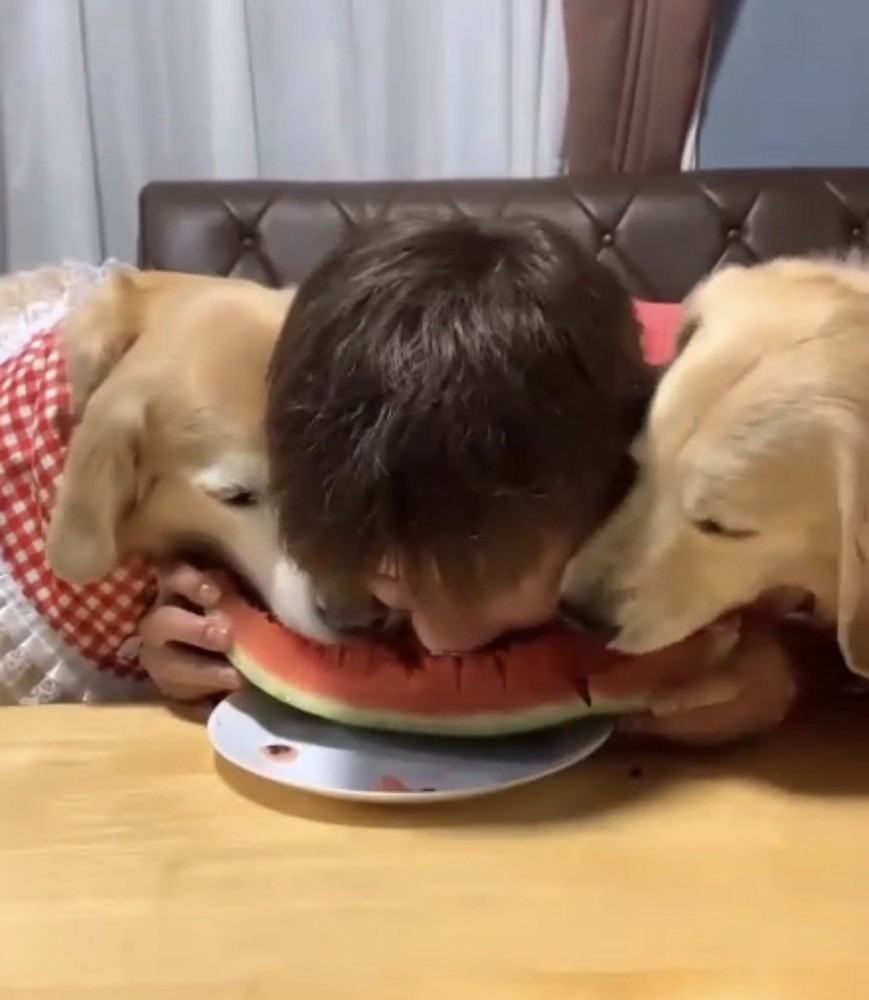 スイカ完食