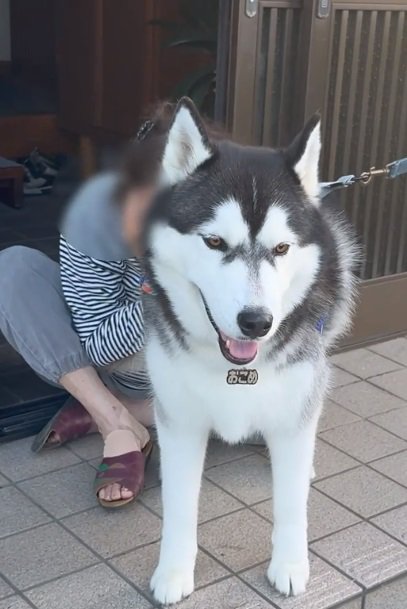 おばあちゃんが大好きなおこめくん