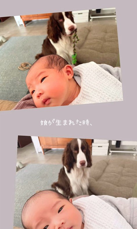 ププくんと娘さん